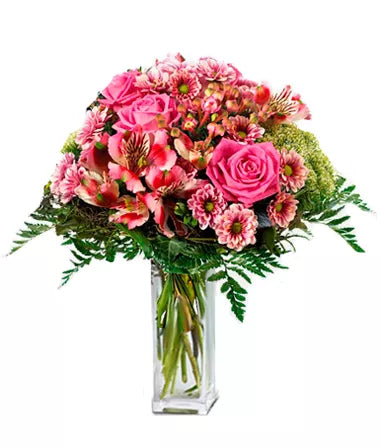 Alstroemeria Pink