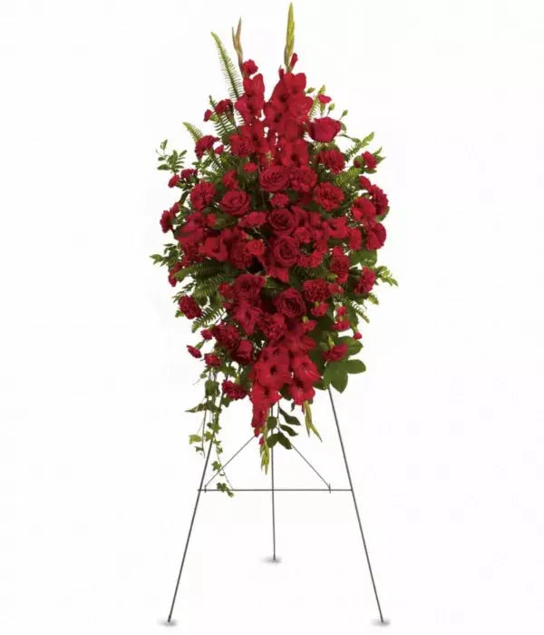 Carnation Red From You Flowers