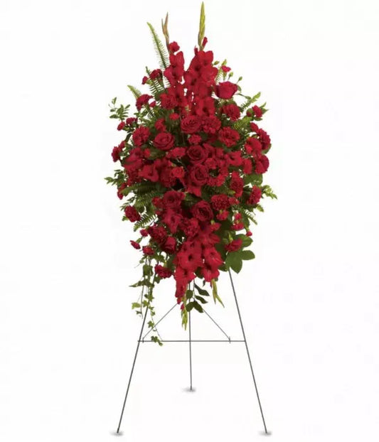 Carnation Red From You Flowers