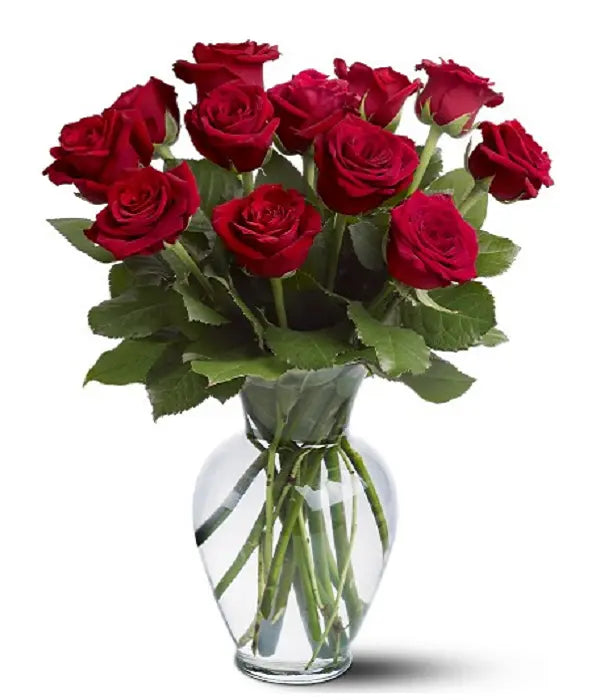 Timeless Red Roses Dozen Long Stemmed From You Flowers Aus