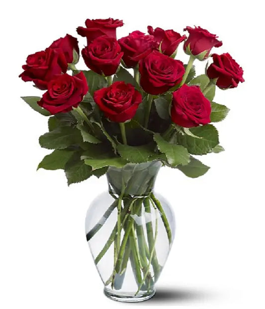 Timeless Red Roses Dozen Long Stemmed From You Flowers Aus