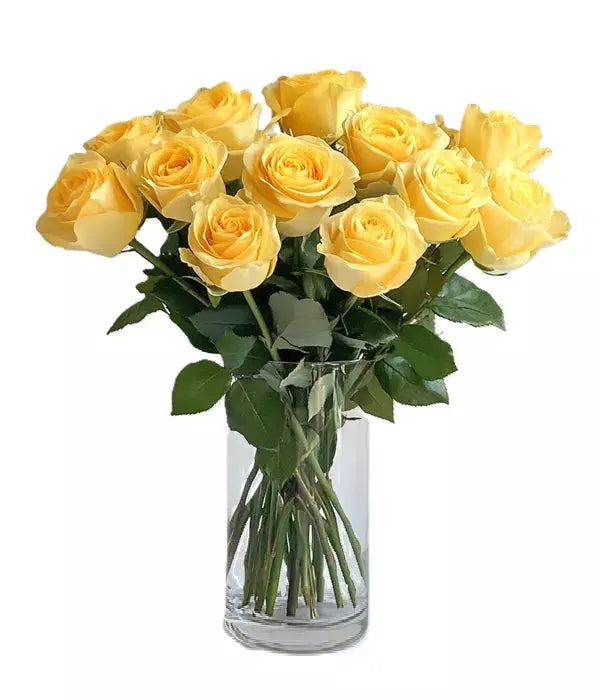 Dozen Long Stemmed Yellow Roses From You Flowers Aus