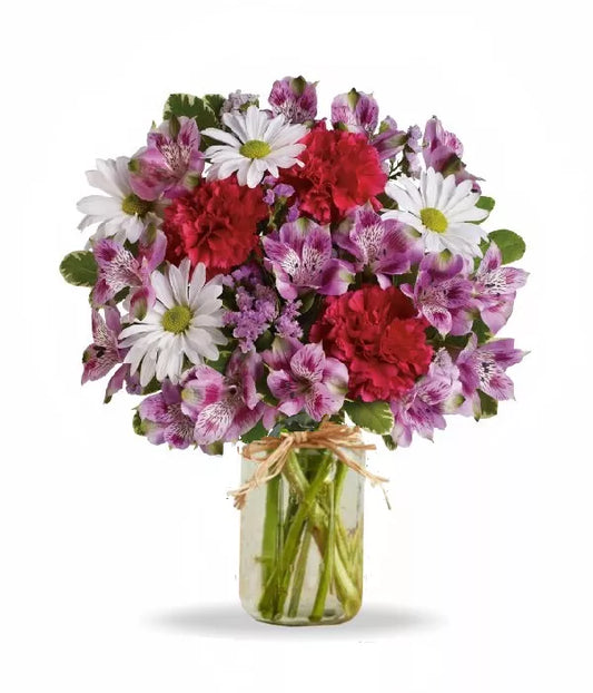 Alstroemeria Purple