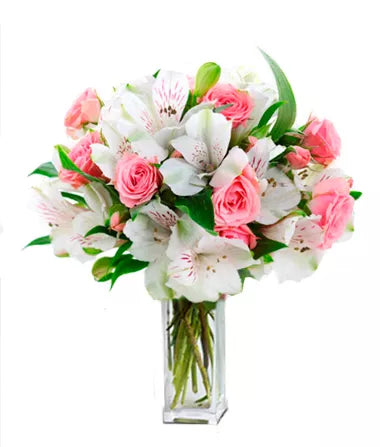 Alstroemeria White