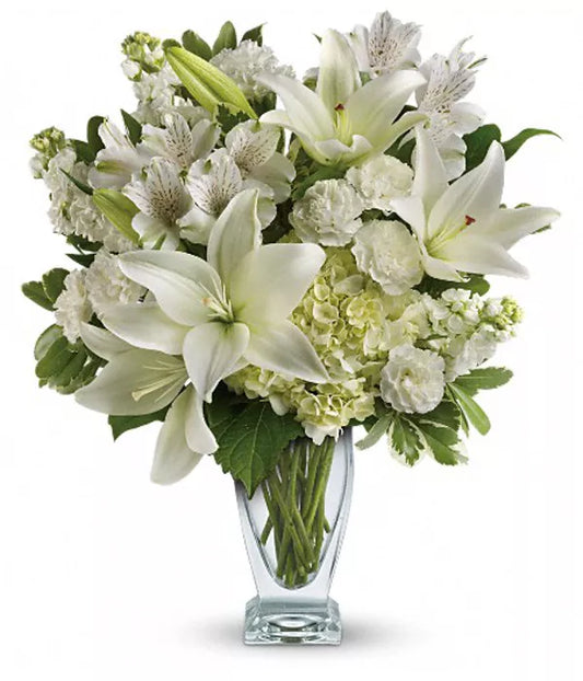 Alstroemeria White