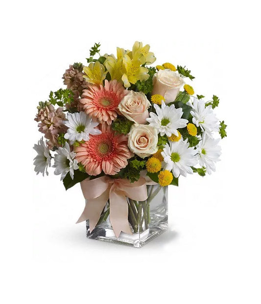 Alstroemeria Yellow