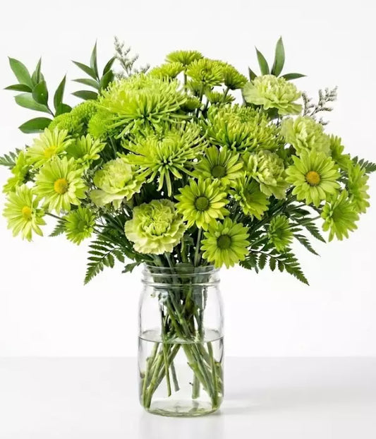Down Under Congrats Daisies Bouquet in Vase