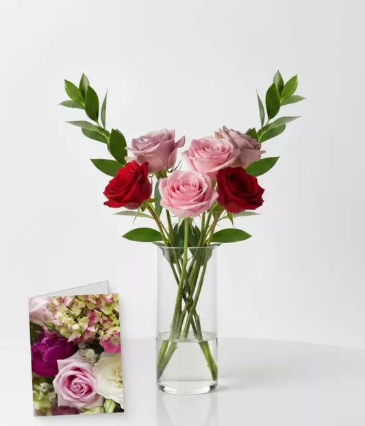 Half Dozen Long Stem Assorted Roses