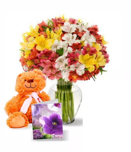 Alstroemeria Assorted
