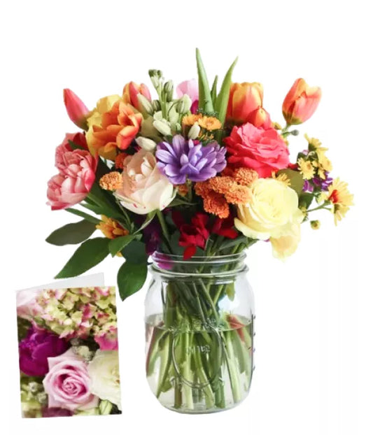 Alstroemeria Pink