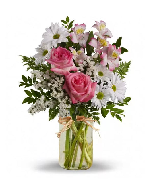 Alstroemeria Pink