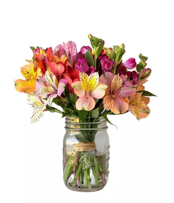 Thirty Alstroemeria Blooms In Mason Jar From You Flowers Aus