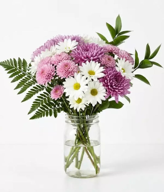 Down Under Get Well Daisies Bouquet in Vase