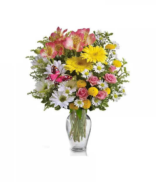 Alstroemeria Pink