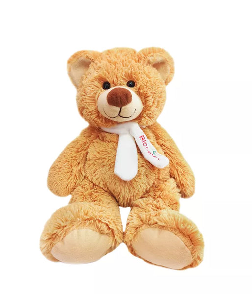 Cuddly Teddy Bear Add-On