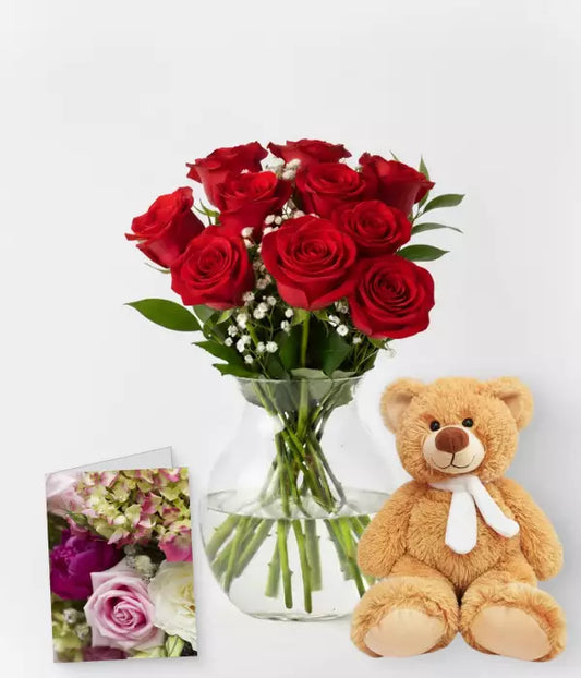 Ten Red Roses, Card & Teddy