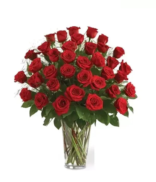Three Dozen Long Stem Red Roses From You Flowers Aus