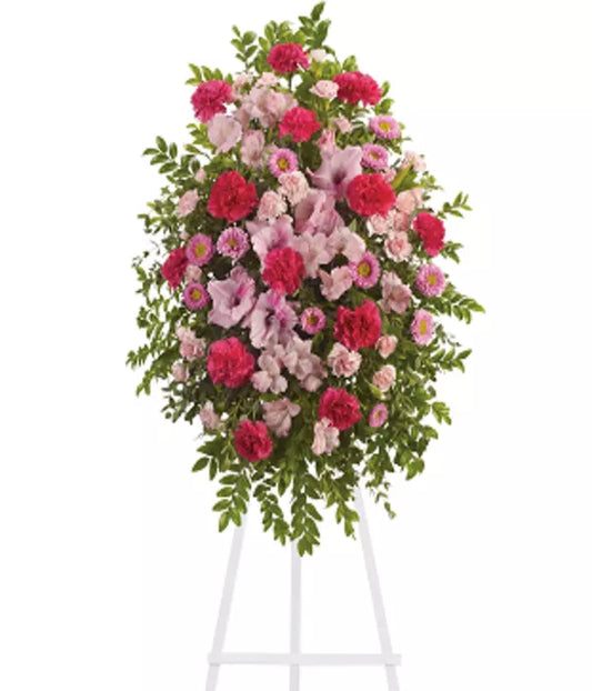 Alstroemeria Pink